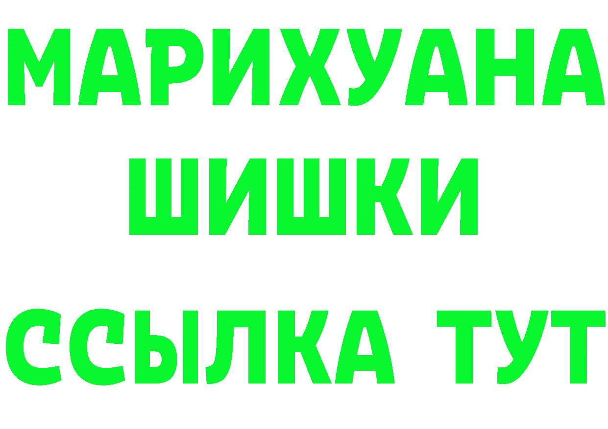 A PVP СК КРИС вход площадка МЕГА Велиж